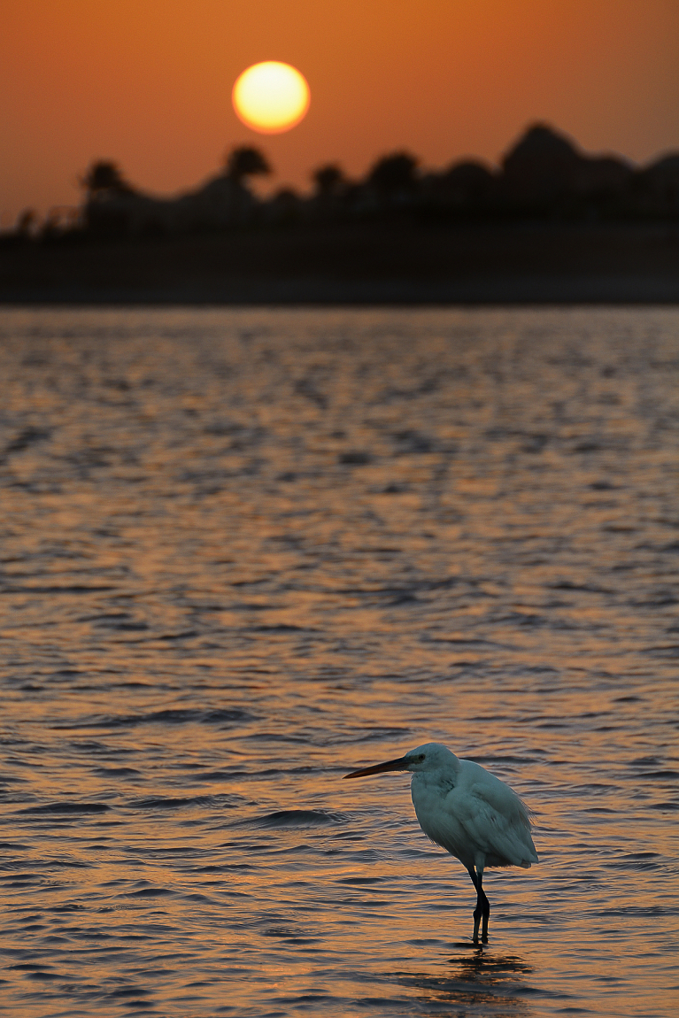 Marsa Alam - východ slunce  (2)