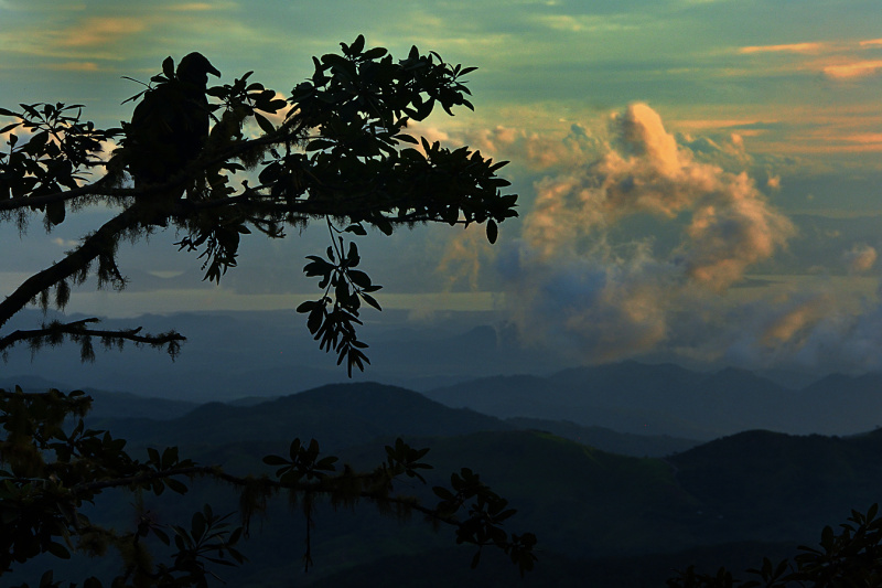 pohoří Monte Verde 1