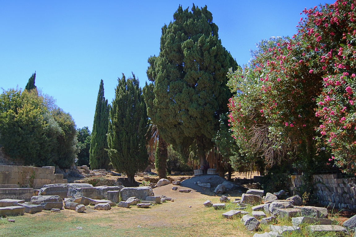 Kos (2)